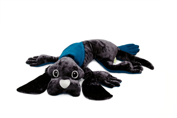Manino - Chien lourd (1kg ou 2kg) - Image 2